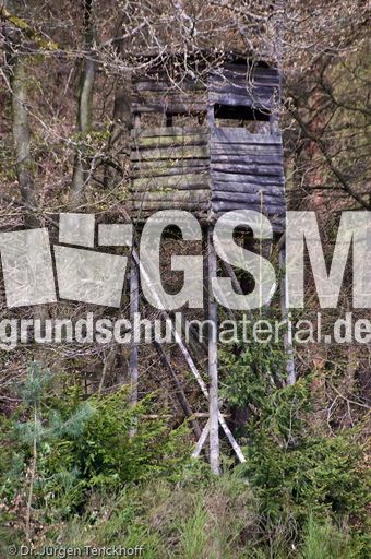 Hochstände (70 von 154).jpg